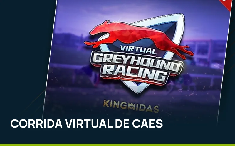 Aposte na corrida virtual de cães na Bet7.